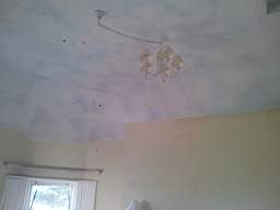 fkillineybeforeinternal 1505.jpg